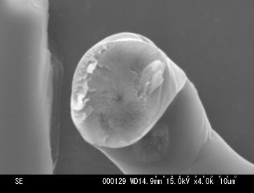 SEM micrograph, ungraded