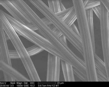 Scanning electron microscope (SEM) micrograph of viscose rayon fibres