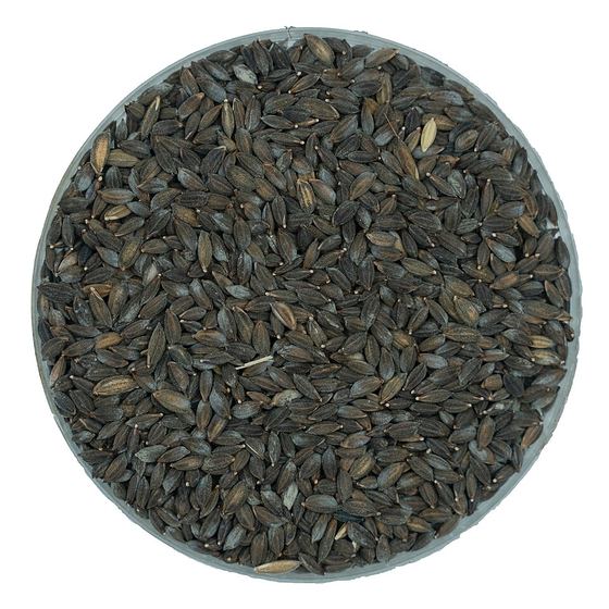 Grain specimen, plate tier 1
