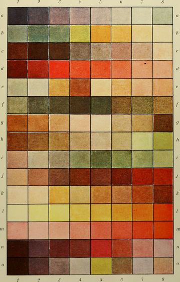 Archive colour plate, as supplied